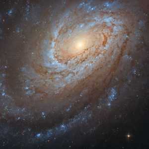 This spiral galaxy captured by @NASAHubble may look serene and peaceful as it swirls in the vast, silent emptiness of space, but don’t be fooled — it keeps a violent secret. It is believed that this galaxy consumed another smaller galaxy to become the large and beautiful spiral that we observe today.

#galaxy #nasa #hubble #secret